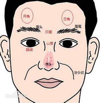 額頭日月角凸起|面相知識：講解什麼是日月角，一起來學點面相學